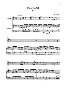 Соната для флейты и клавесина No.1 си минор, BWV 1030: Часть I by Иоганн Себастьян Бах