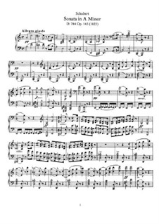 Соната для фортепиано No.14 ля минор, D.784 Op.143: Для одного исполнителя by Франц Шуберт