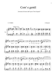 Дон Паскуале: Come gentil la notte a mezzo april by Гаэтано Доницетти