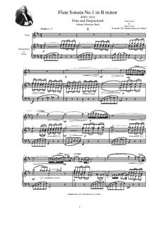 Соната для скрипки и клавесина No.1 си минор, BWV 1014: Arrangement for flute and harpsichord (or piano) by Иоганн Себастьян Бах