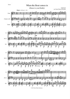 When the boat comes in: For flute, clarinet and guitar by folklore, Дэвид Соломонс