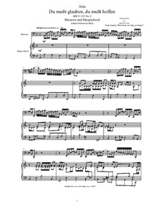 20 Arias from Cantatas for Bassoon and Harpsichord: Aria (Du mußt glauben, du mußt hoffen), BWV 155 No.2 by Иоганн Себастьян Бах