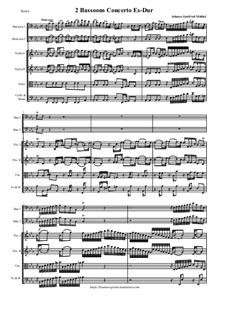 2 Bassoons Concerto Es-Dur: 2 Bassoons Concerto Es-Dur by Johann Gottfried Müthel