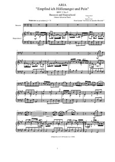 20 Arias from Cantatas for Bassoon and Harpsichord: Aria (Empfind ich Höllenangst und Pein), BWV 3 No.3 by Иоганн Себастьян Бах