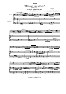 20 Arias from Cantatas for Bassoon and Harpsichord: Aria (Höchster, was ich habe), BWV 39 No.5 by Иоганн Себастьян Бах