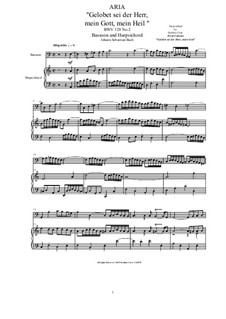 20 Arias from Cantatas for Bassoon and Harpsichord: Aria (Gelobet sei der Herr, mein Gott, mein Heil), BWV 128 No.2 by Иоганн Себастьян Бах