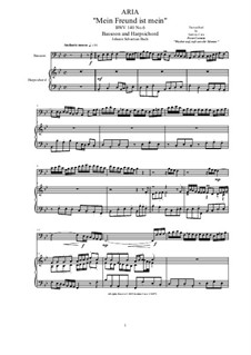20 Arias from Cantatas for Bassoon and Harpsichord: Aria (Mein Freund ist mein), BWV 40 No.6 by Иоганн Себастьян Бах