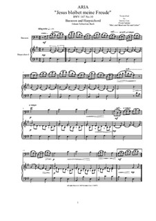 20 Arias from Cantatas for Bassoon and Harpsichord: Aria (Jesus bleibet meine Freude), BWV 147 No.10 by Иоганн Себастьян Бах