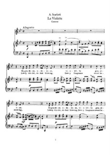 Фиалка ноты для фортепиано. Фиалка партитура. Лесная фиалка парфенов ноты. Фиалка партитура. Фиалка ноты.