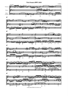 Соната для флейты, скрипки и клавесина соль мажор, BWV 1038: Партитура by Иоганн Себастьян Бах