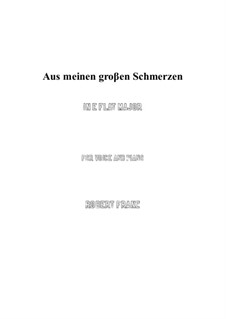 Двенадцать песен, Op.5: No.1 Aus meinen grossen Schmerzen (E flat Major) by Роберт Франц