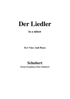Der Liedler (The Minstrel), D.209 Op.38: A minor by Франц Шуберт