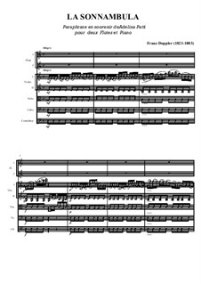 La Sonnambula for 2 flutes and string orchestra: La Sonnambula for 2 flutes and string orchestra by Франц Допплер