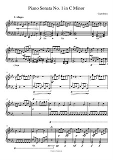 Piano Sonata No.1 in C Minor, Op.15: Piano Sonata No.1 in C Minor by E.S. Capeditiea