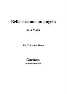 Дон Паскуале: Bella siccome un angelo (A Major) by Гаэтано Доницетти