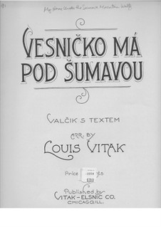 Vesnicko ma pod Sumavou Valcik (Piano): Vesnicko ma pod Sumavou Valcik (Piano) by folklore