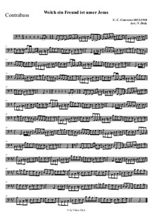 Что за друга мы имеем: Для струнного оркестра by Charles Crozat Converse