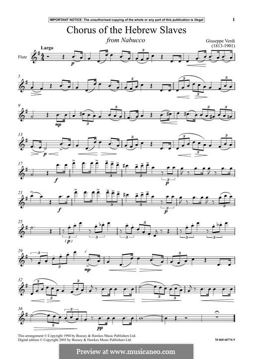 Va' Pensiero (Chorus of the Hebrew Slaves): Для флейты by Джузеппе Верди