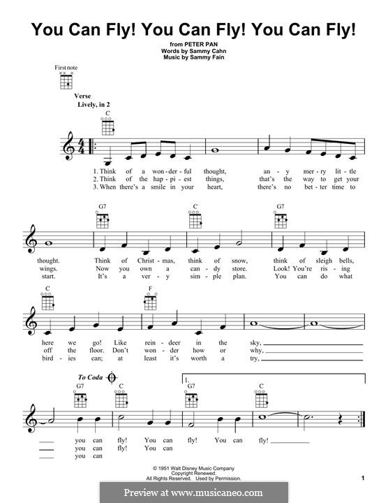 Включи песню fly. Песня can you Fly. Ноты песни Fly. Слова песни i can Fly. Can you Fly can you Fly.