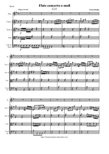 Flute concerto e-moll, L II:4: Flute concerto e-moll by Франц Бенда
