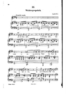 No.3 Встреча в лесу: Клавир с вокальной партией (немецкий текст) by Роберт Шуман