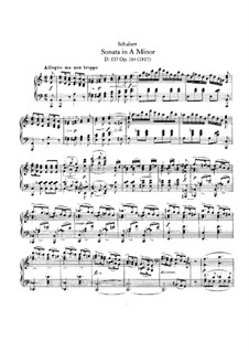 Сонаты для фортепиано: Сонаты для фортепиано by Франц Шуберт