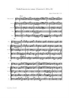Violin Concerto in e minor, Z Co, 18: Violin Concerto in e minor by Andrea Teodoro Zani