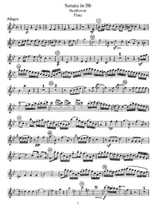 Соната для флейты и фортепиано си-бемоль мажор, Anh 4: Сольная партия by Людвиг ван Бетховен