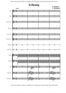 Лесной царь, D.328 Op.1: Для ансамбля инструментов by Франц Шуберт