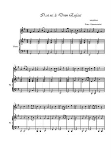 He is Born, the Holy Child (Il est ne, le divin enfant): Для гобоя и фортепиано by folklore