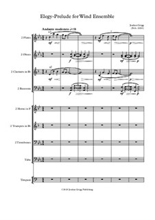 Elegy-Prelude for Wind Ensemble: Elegy-Prelude for Wind Ensemble by Jordan Grigg