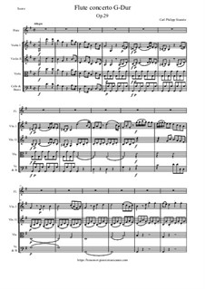 Flute concerto G-Dur, Op.29: Flute concerto G-Dur by Карл Стамиц