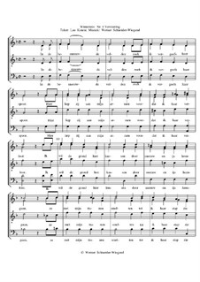 Winterreise, Nr.73-105, Op.23: Nr.84 Verstarring by Werner Schneider-Wiegand