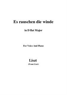 Es rauschen die Winde, S.294: D flat Major by Франц Лист