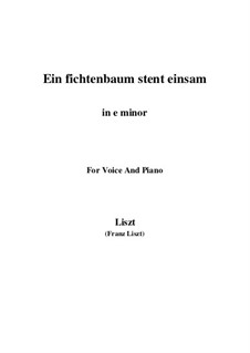 Ein Fichtenbaum steht einsam, S.309: E minor by Франц Лист