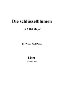 Muttergottes-Sträusslein zum Mai-Monate, S.316: No.2 Die schlüsselblumen in A flat Major by Франц Лист