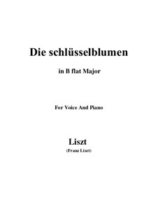 Muttergottes-Sträusslein zum Mai-Monate, S.316: No.2 Die schlüsselblumen in B flat Major by Франц Лист