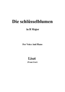 Muttergottes-Sträusslein zum Mai-Monate, S.316: No.2 Die schlüsselblumen in B Major by Франц Лист