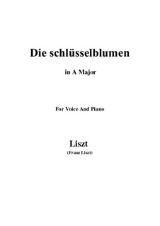 Muttergottes-Sträusslein zum Mai-Monate, S.316: No.2 Die schlüsselblumen in A Major by Франц Лист