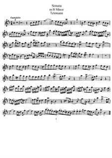 Соната для флейты и фортепиано си минор: Сольная партия by Георг Филипп Телеманн