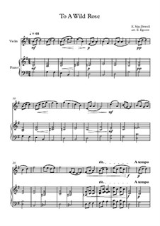 10 Easy Classical Pieces for Violin and Piano Vol. 3: To A Wild Rose by Эдвард Макдоуэлл, Иоганн Штраус (младший), Иоганнес Брамс, Георг Фридрих Гендель, Феликс Мендельсон-Бартольди, Роберт Шуман, Муцио Клементи, Джузеппе Верди, Антон Рубинштейн, Юхан Хальворсен