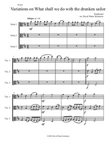 Variations on What shall we do with the drunken sailor: For viola trio by folklore