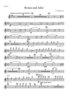 Вся увертюра: Партия II флейты by Петр Чайковский