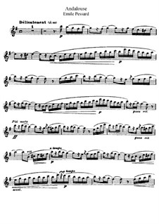 Двадцать пять пьес, Op.20: No.8 Андалузка, для флеты и фортепиано – сольная партия by Эмиль Пессард