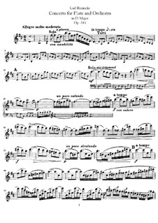 Концерт для флейты с оркестром ре мажор, Op.283: Версия для флейты и фортепиано – Партия флейты by Карл Райнеке