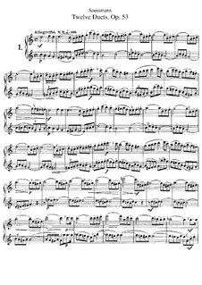 Двенадцать дуэтов для двух флейт, Op.53 No.1-12: Двенадцать дуэтов для двух флейт by Heinrich Soussmann