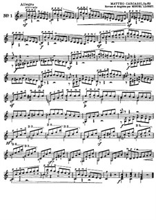 Двадцать пять этюдов для гитары, Op.60: Сборник by Маттео Каркасси