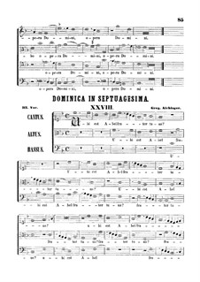 Ubi est Abel frater tuus: Ubi est Abel frater tuus by Грегор Айхингер