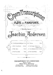 Оперные транскрипции, Op.45: No.2 На темы из оперы 'Норма' Беллини by Иоахим Андерсен