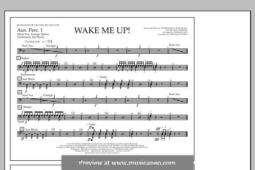 Wake Me Up! (arr. Tom Wallace): Aux. Perc. 1 part by Aloe Blacc, Michael Einziger, Avicii, Arash Andreas Pournouri